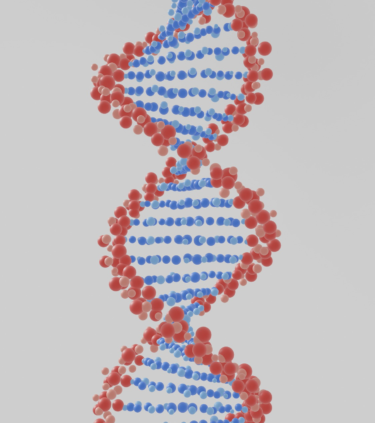 光る鑑賞フィッシュからデザイナーベイビーまで遺伝子操作はどこまで進むのか。