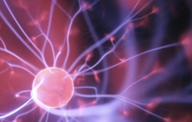 TED視聴：脳からの電気信号がどのように身体の隅々に伝播するのか。これは不思議。